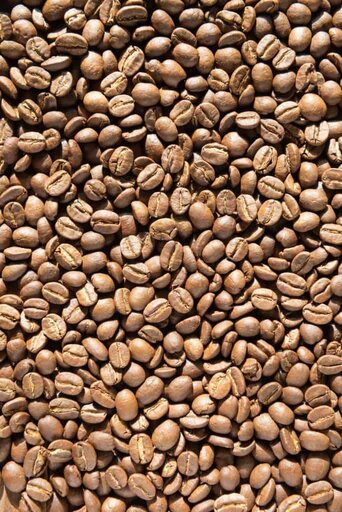 Blonde Roast Coffee Beans