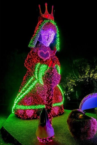 The queen of hearts in topiary and lights at the atlantic botanic garden at christmas time.