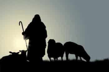 Shepherd with Sheep