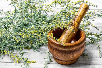 mugwort uses