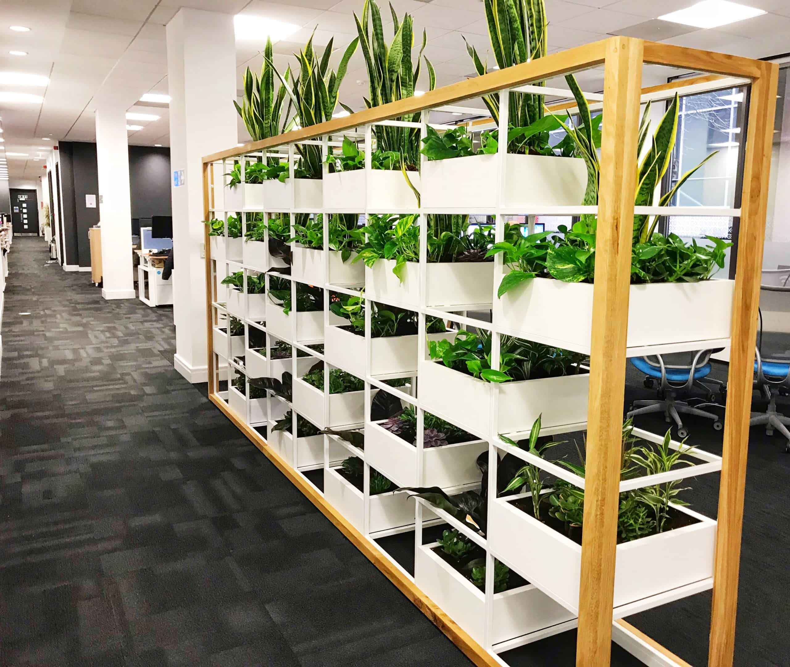 Xero plant installation