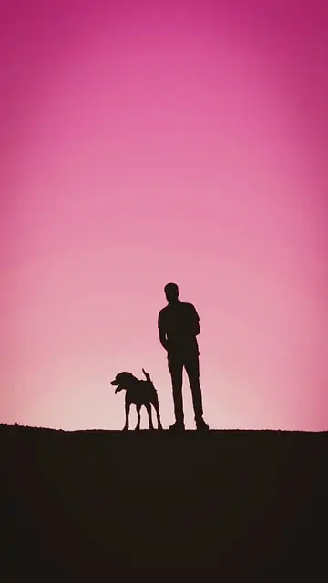 spend time with your dog
