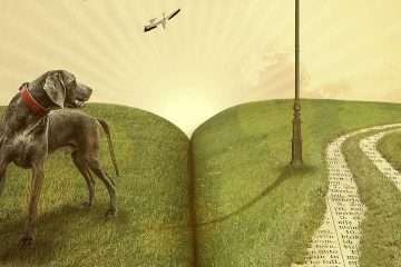 Banner beste kinderboeken