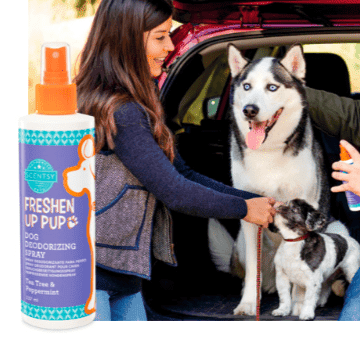 TEA TREE PEPPERMINT DOG DEODERISING SPRAY - SCENTSY
