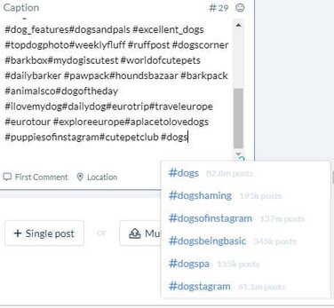 Hashtags for dogs