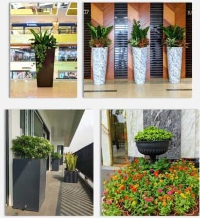 Chậu dùng trong nội thất và ngoại thất Chậu dùng trong nội thất và ngoại thất