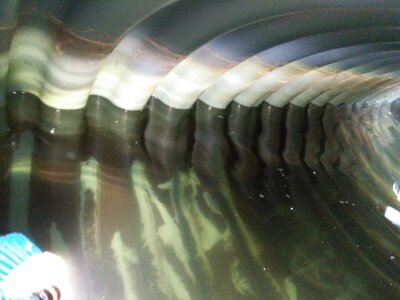 We fly there too! dirty ribbed cistern