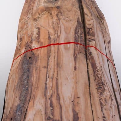 The camera view Step 1) The scanner projects a laser line on the wood.