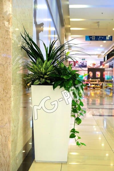 Chậu cây cảnh đẹp MGPOT Chậu cây cảnh đẹp MGPOT 2