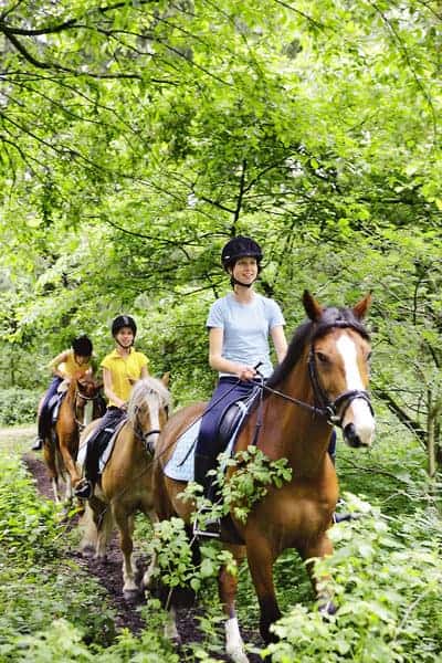 Reiten bietet sich als kAusflugsmöglichkeit an Reiten bietet sich als kAusflugsmöglichkeit an