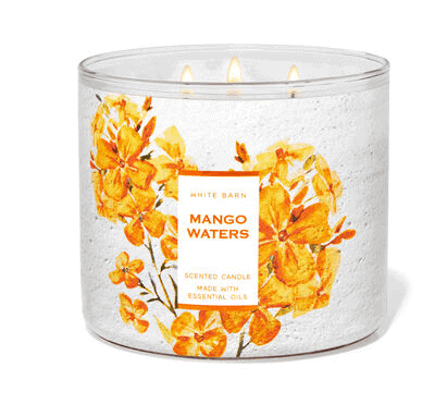 Mango waters candle