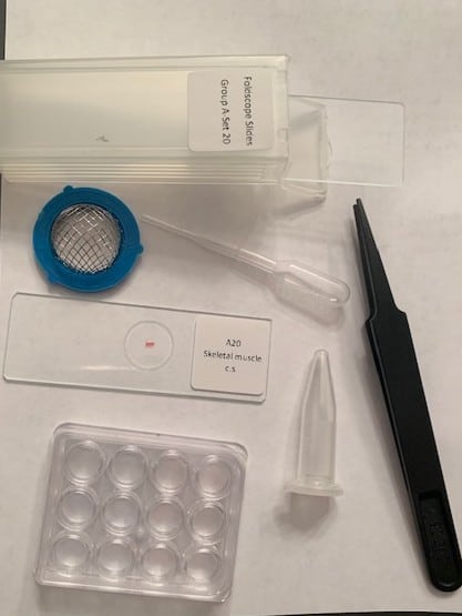 The Deluxe Foldscope Kit comes with tweezers, a pipette, collection tubes, prepared slides, blank slides, cover slips, and a strainer in case you need to drain sediment from your specimen.