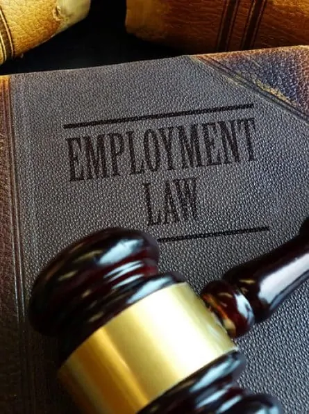 employment-law Employer Lawyers