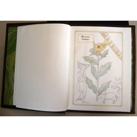 Herbal Grimoire a Book of Herbal Magic
