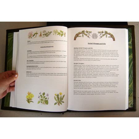 Herbal Grimoire a Book of Herbal Magic