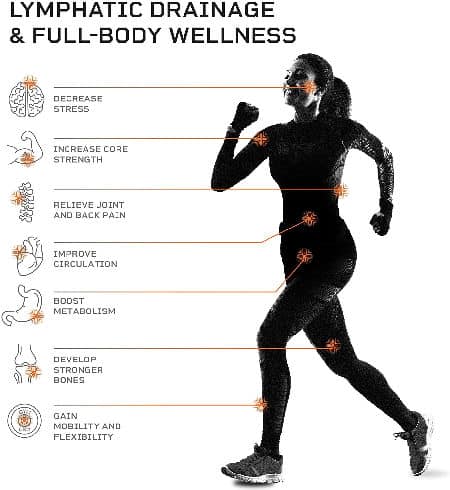 whole body vibration machine