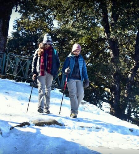 Our guest are trekking down to Chopta from Chandrashila - Its a 6 feet wide trek for Tungnath ji Trekking down on the way to Tungnath to Chopta