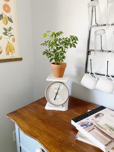 15 Ways to add Vintage Farmhouse Style to any Home 9