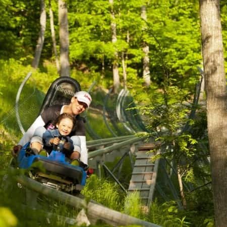Ridge Runner Mountain Coaster - Blue Mountain, ON