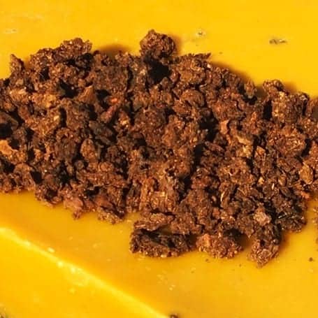 propolis-brute-vent de miel-apimoulin propolis brute