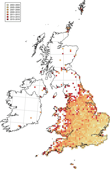 The spread and distribution in 10 km squares in Britain, the Channel Islands and Ireland of Harmonia axyridis from 2003 to 2016.