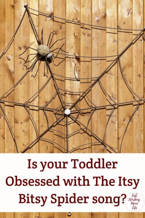 melissa and doug itsy bitsy spider