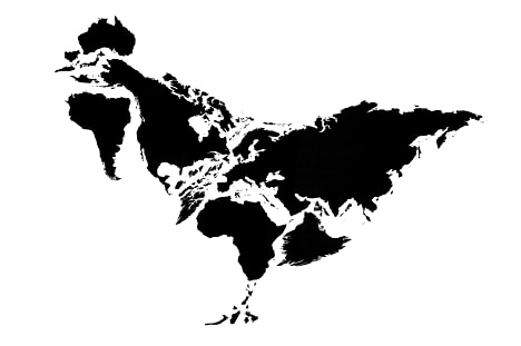 Rooster from Twelve Animals by Kentaro Nagai