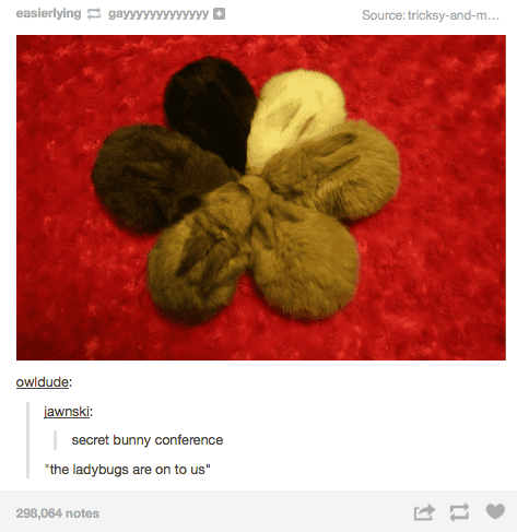 tumblr posts