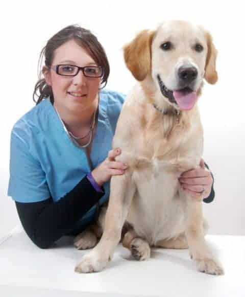 Vet-nurse
