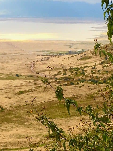 Ngorongoro Crater.
