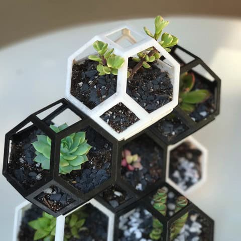 3D Printed Hexagonal Plant Holder