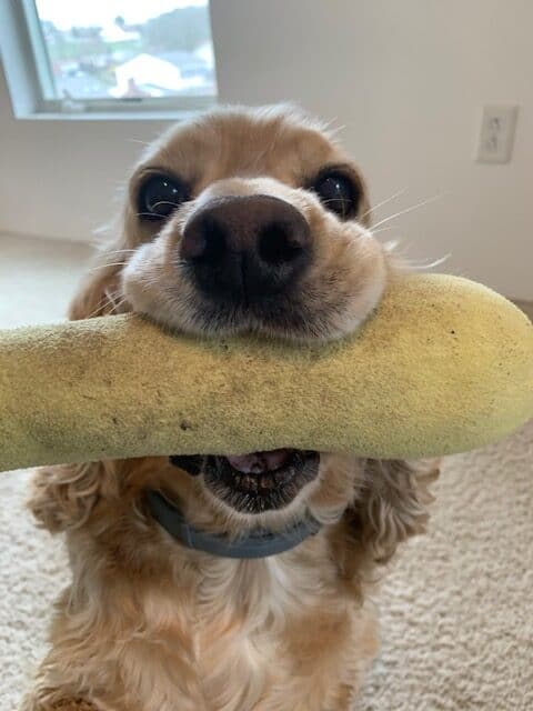 franklin and his squash