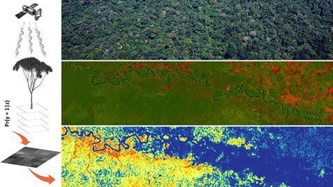 How species distribution models are made. The satellite (top left) registers sunlight reflected by individual trees (middle left) and the forest canopy in general (top right). Reflectance differences can be visualised in a simple colour composite (middle right; forests in green, deforestated areas in red). The machine learning algorithms convert the spectral information from the localities where individual trees of a species have been observed to a map of predicted habitat suitability (bottom; blue represents low and red high suitability). Image: Pablo Pérez Chaves.