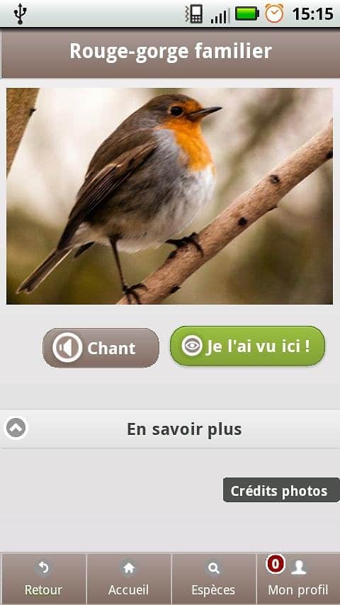 Ecobalade, une application d’identification des espèces de la nature 4 ecobalade oiseaux