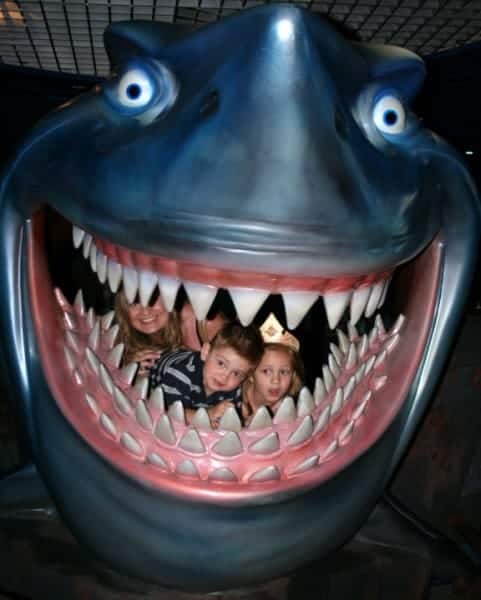 epcot, walt disney world, nemo, shark