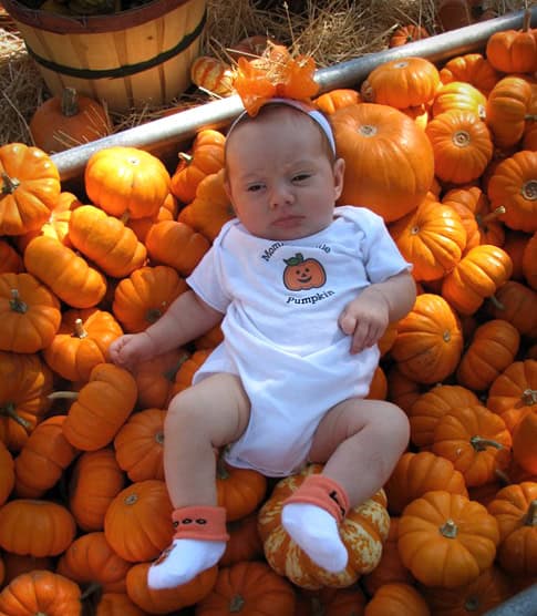 Halloween Pumpkin Patch Fall Inspiration Living Locurto
