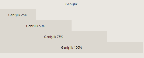 Boostrap genişlik ayarlanmış görsel.