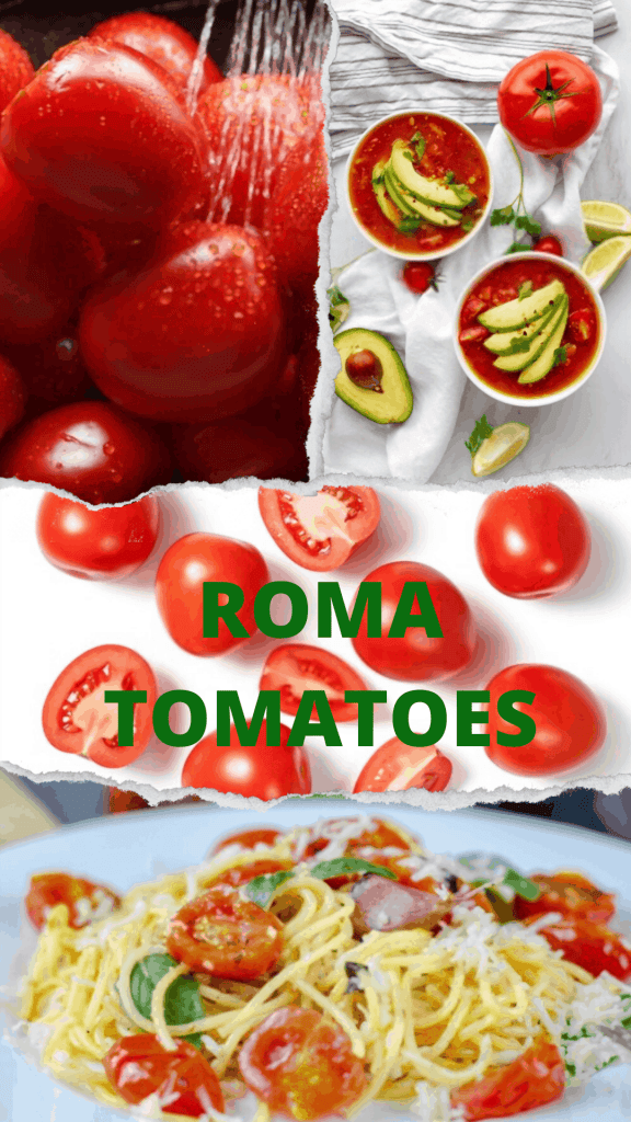 Roma tomato nutrition: How to Identify and 4 Overall benefits Roma tomato nutrition