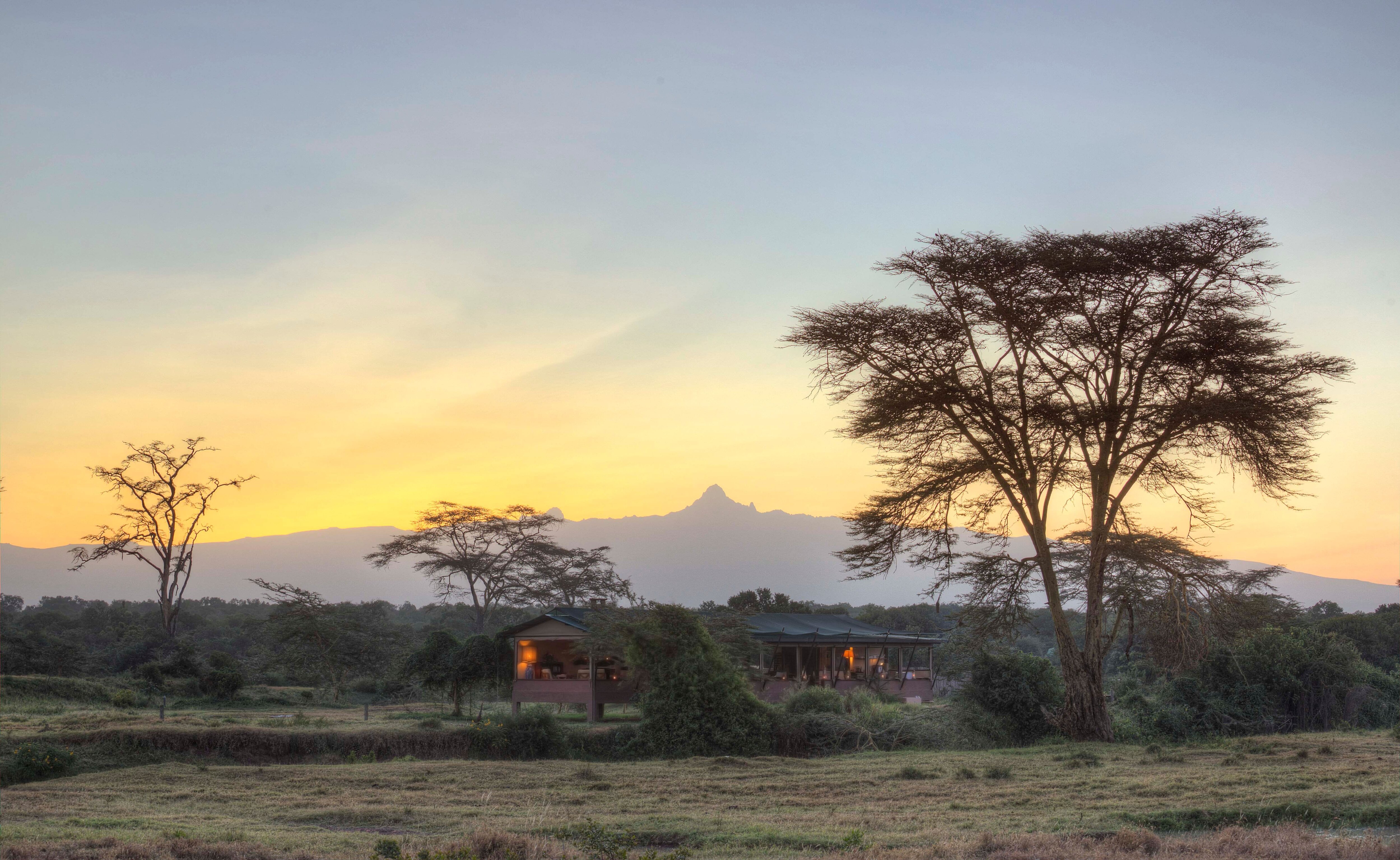 Ol Pejeta Bush Camp Tent View