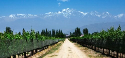 Best Wine Regions of the World to Visit - Mendoza, Argentina | Wine Regions to Visit in Argentina