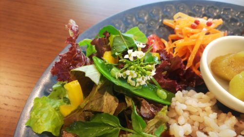 富士宮市 カフェ HOUKIliving ダヤンテールblog