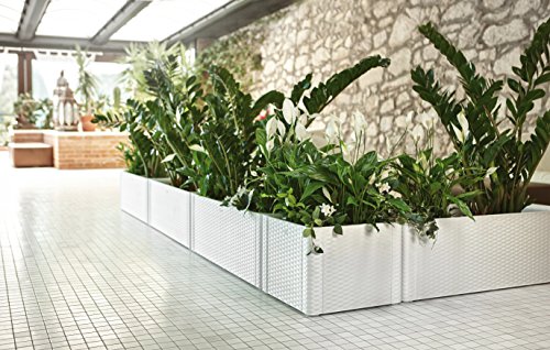 XL Pflanzkasten im Rattan-Design aus Kunststoff in Anthrazit. Mit