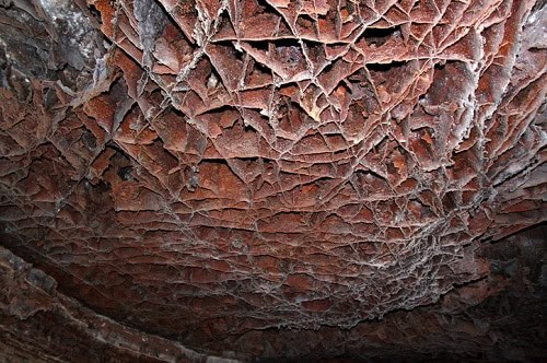 Visiting Wind Cave National Park on a Midwest United States Road Trip