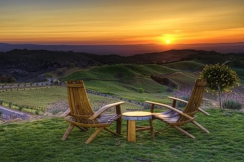 DAOU Vineyards & Winery - Views on Daou Mountain in Paso Robles, California overlooking Cabernet Sauvignon vines