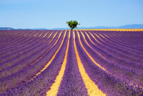 Learn About Visiting Wine Country During the Summer Season | Winetraveler.com