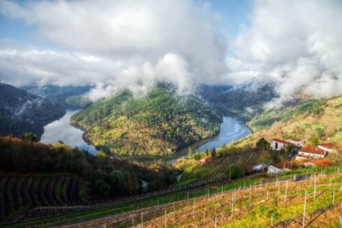 New Wine Recommendations for 2019 - Albarino Galicia Spain | Winetraveler.com