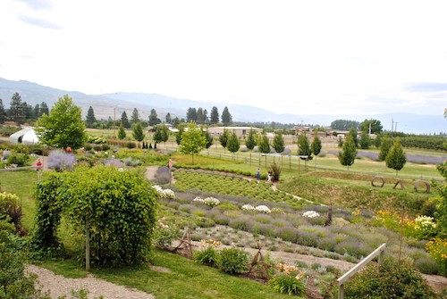 3 Day Kelowna Itinerary | Winetraveler.com