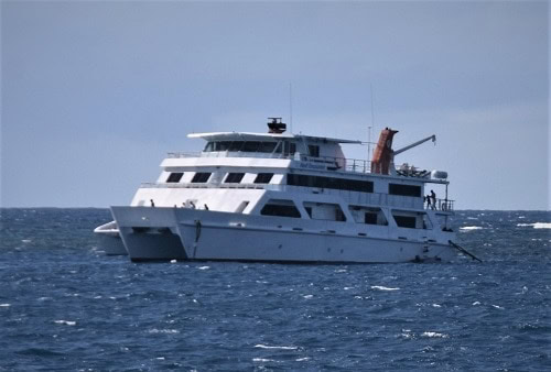 4 Day Great Barrier Reef Diving Itinerary Live Aboard A Dive Boat If you are a certified diver spending a vacation in australias far north queensland, you simply must spend at least one day on the great barrier reef. day great barrier reef diving itinerary