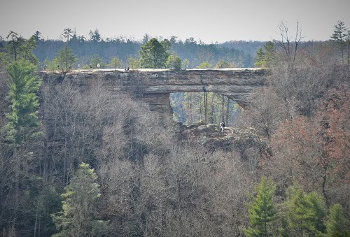 Hiking in Red River Gorge Kentucky