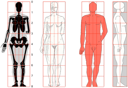 Menschen Zeichnen Anleitungen Tipps Wie bei den meisten anderen 2d zeichenprogrammen gibt es eine vielzahl an grundformen die du für deine zeichnung verwenden kannst. menschen zeichnen anleitungen tipps